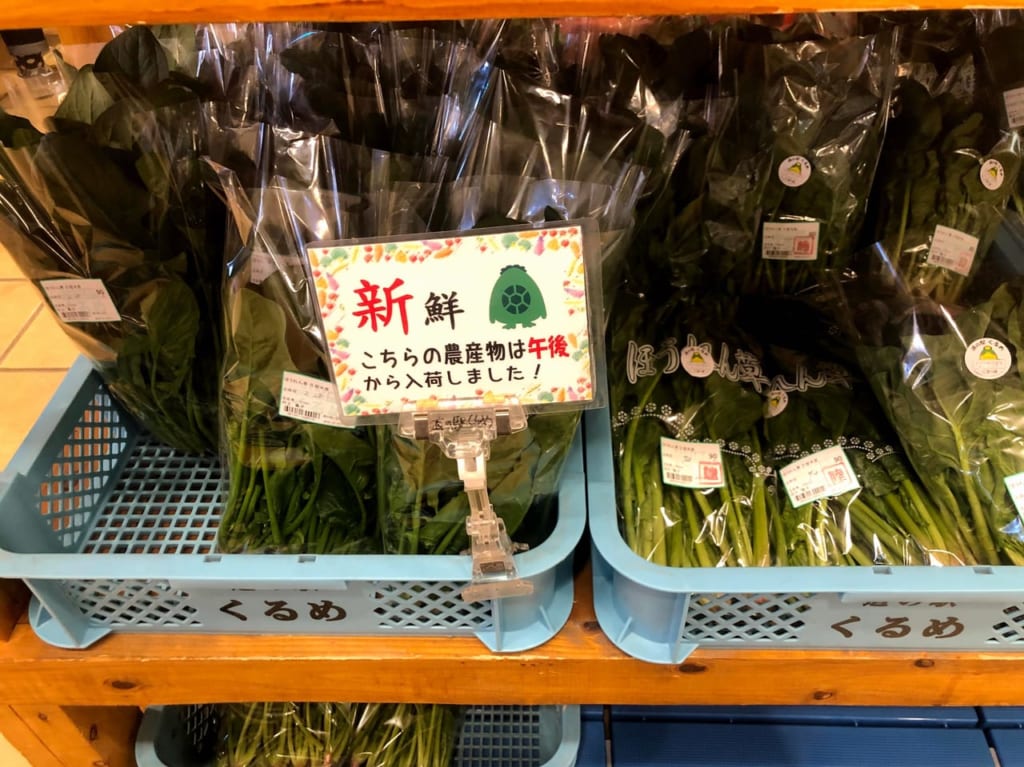 道の駅くるめ