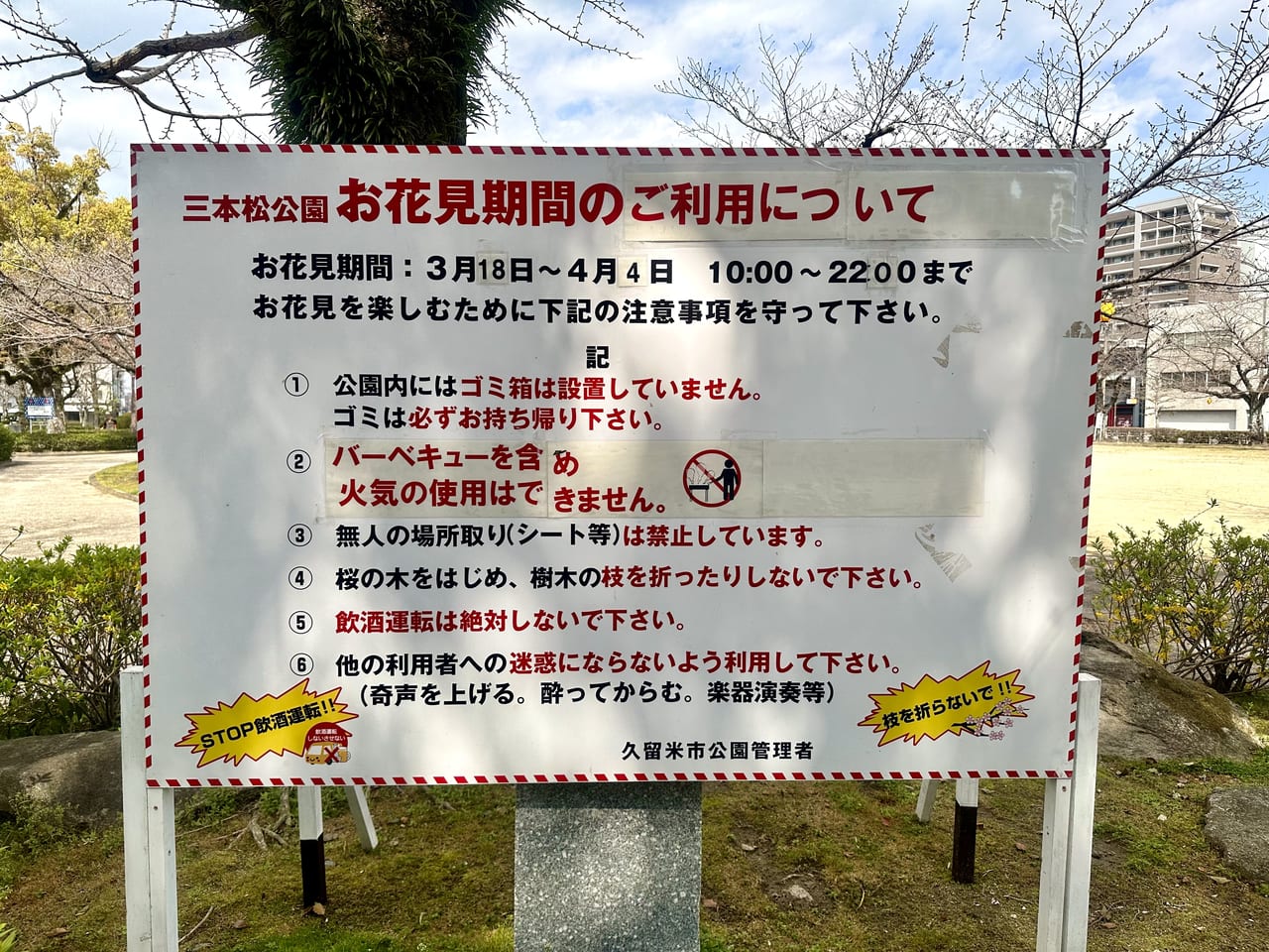2023年久留米花見スポット「三本松公園」