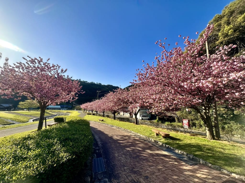 2023年「一ノ瀬親水公園」の里桜