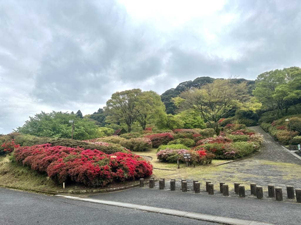 2023年「久留米森林つつじ公園」