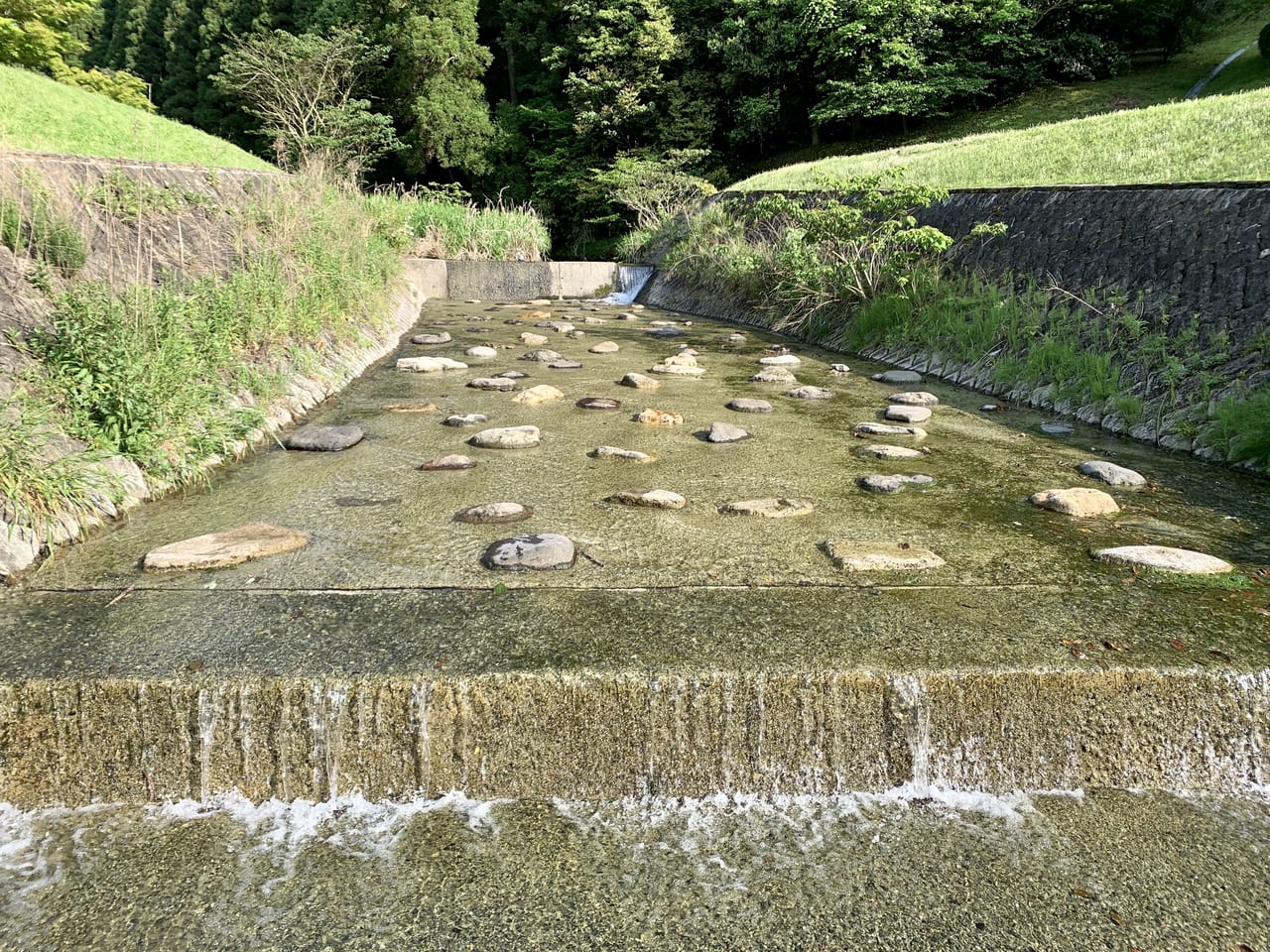 2023年「一ノ瀬親水公園」