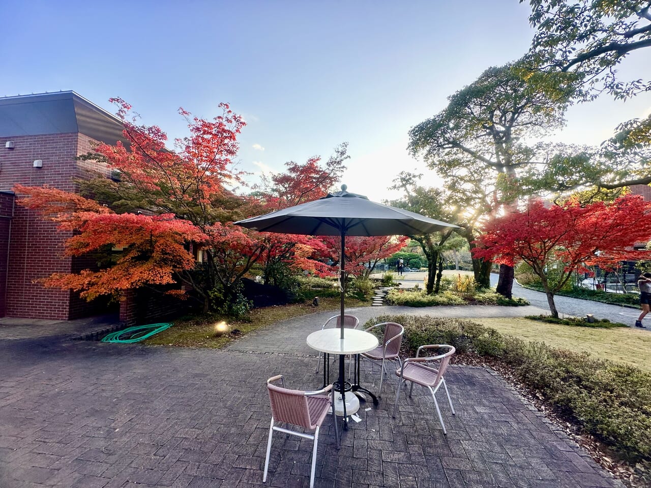 石橋文化センター「もみじまつり」紅葉＆日本庭園ライトアップ