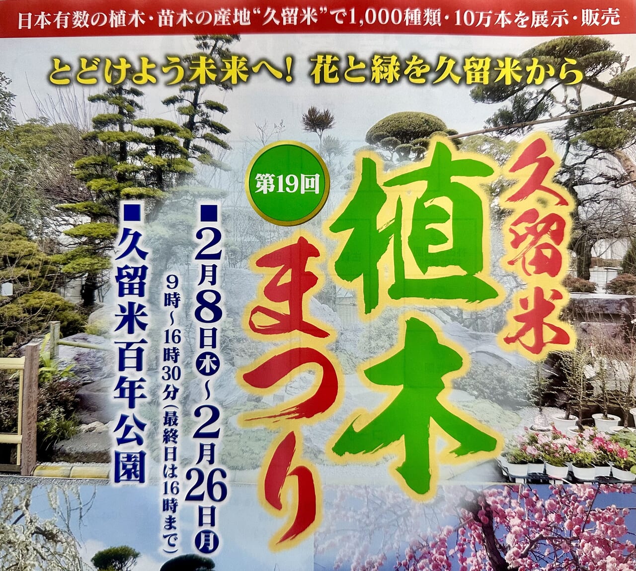 久留米市よりマキの木 - 福岡県のその他