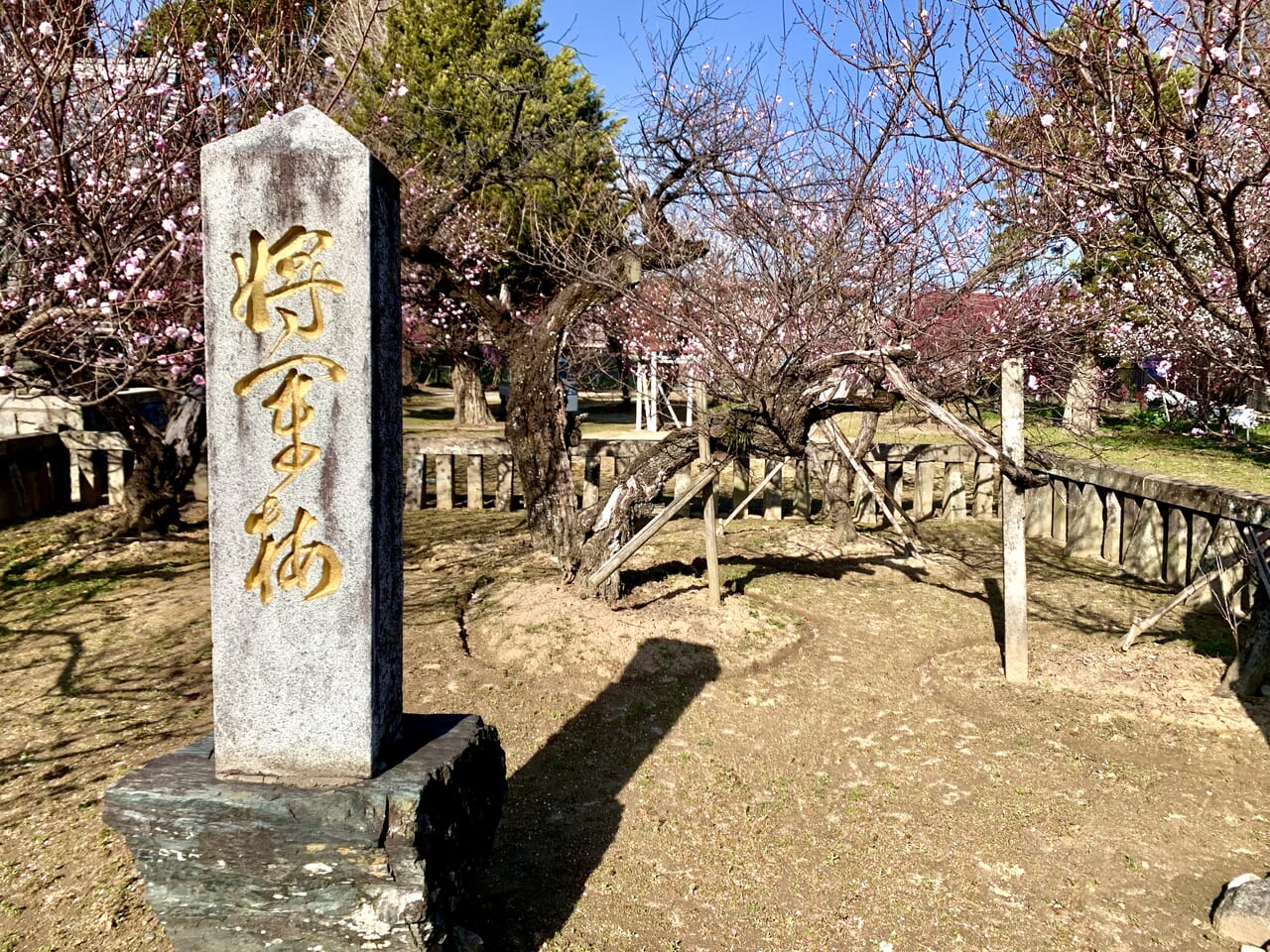 2024年宮ノ陣神社