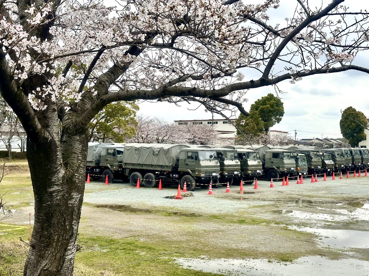 2024年陸上自衛隊 久留米駐屯地の「桜の一般開放」追加決定！！