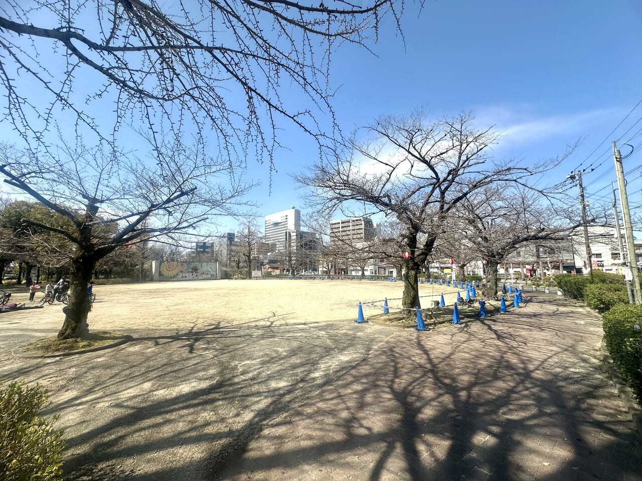 2024年三本松公園