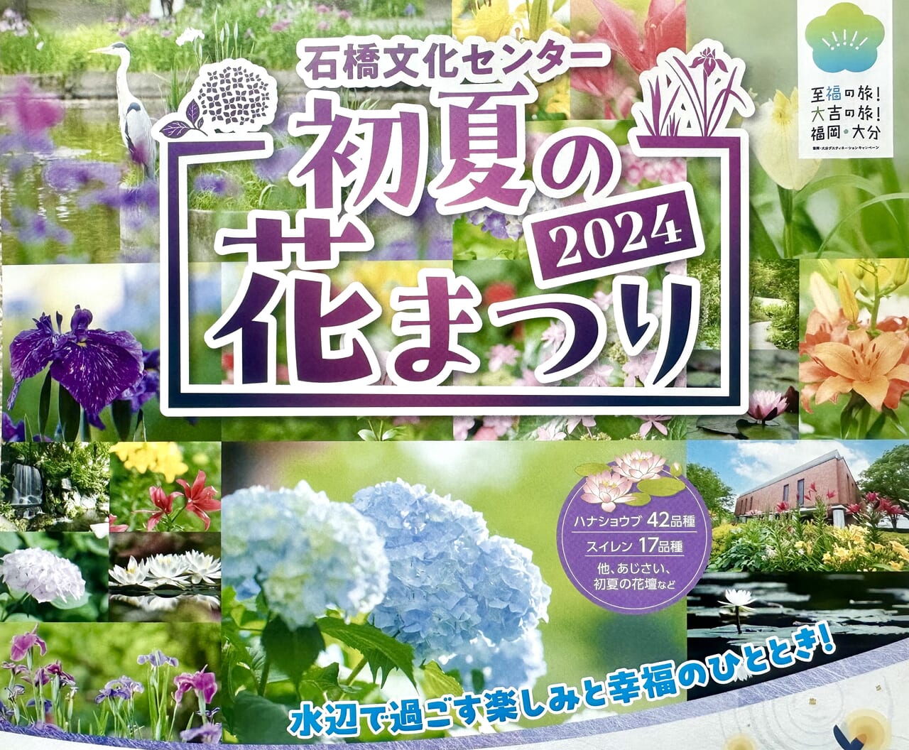 2024年初夏の花まつり2024 〜ハナショウブ・スイレン・ホタル観賞～