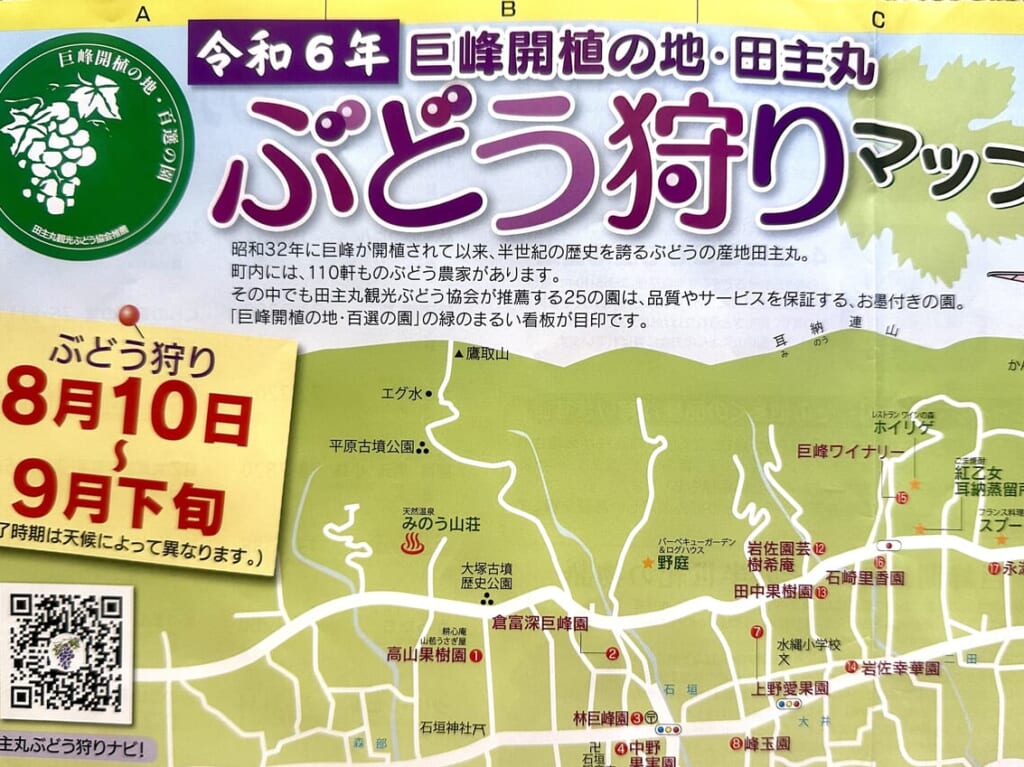 2024年田主丸ぶどう狩り