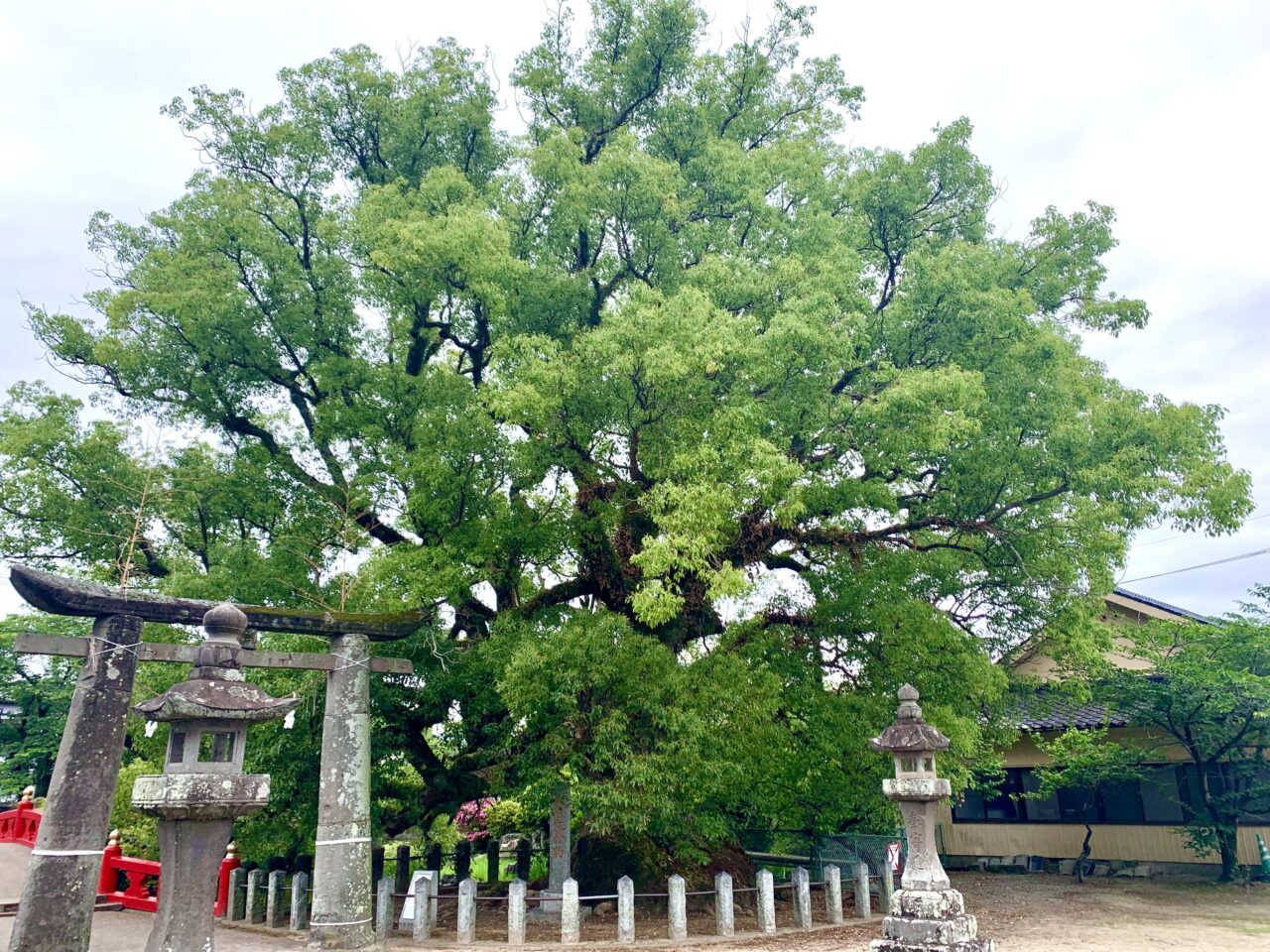 2024年北野天満宮