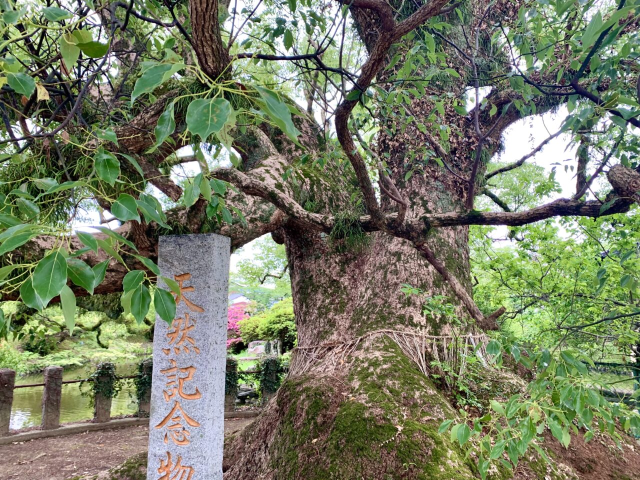 2024年北野天満宮