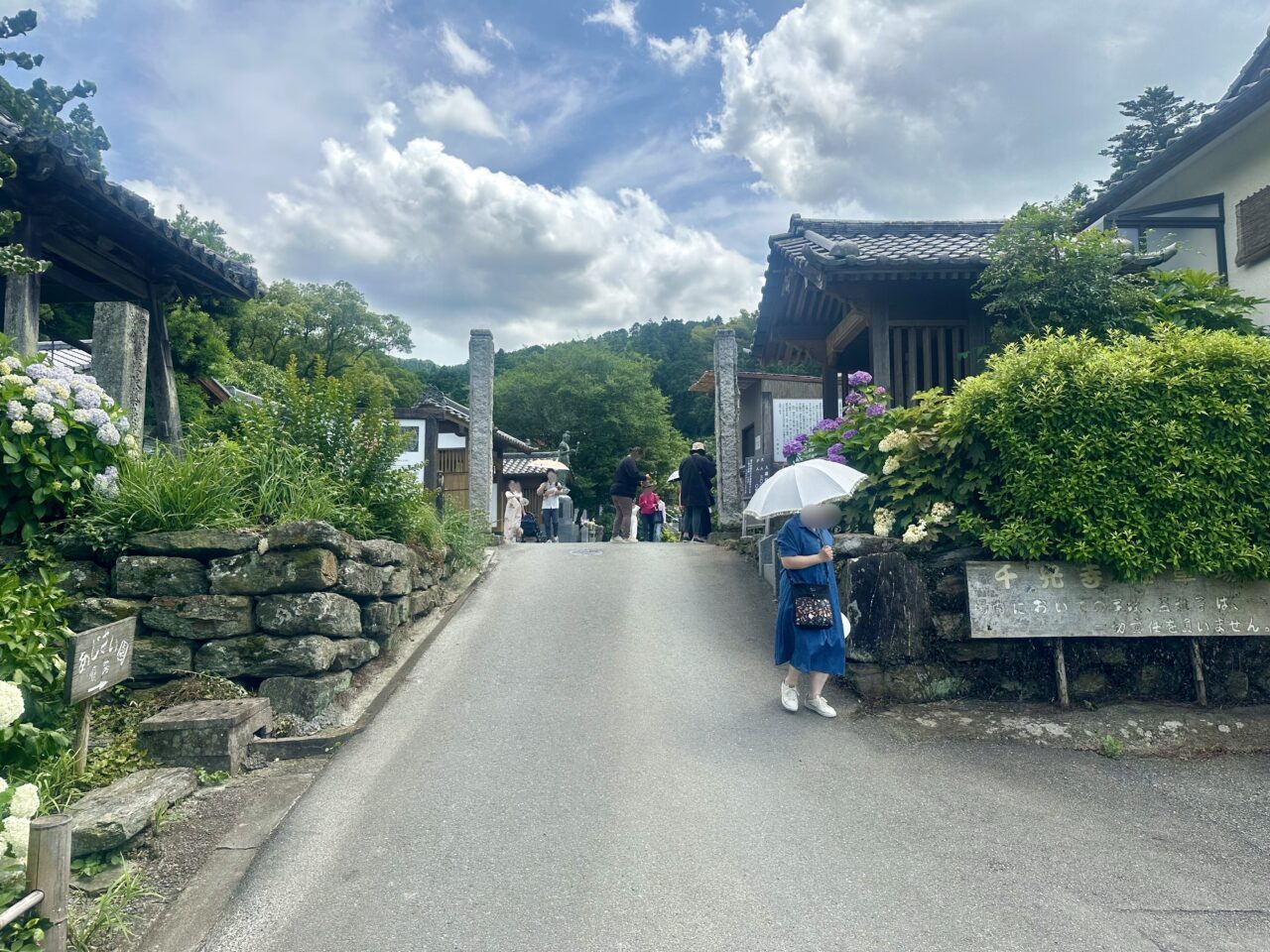 2025年千光寺「あじさい祭り」