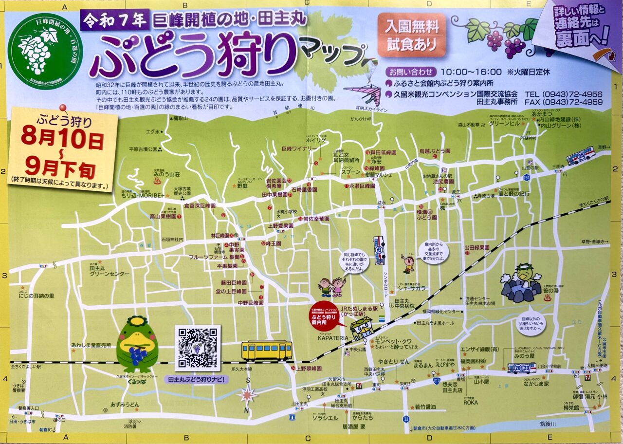 2025年「田主丸ぶどう狩り」