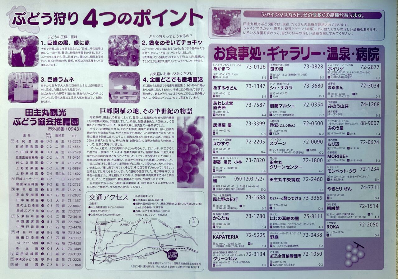 2025年「田主丸ぶどう狩り」