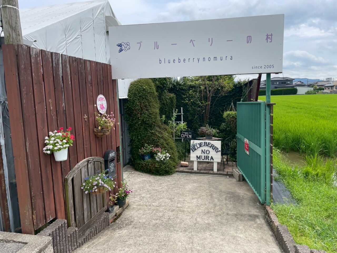 2025年観光農園 ブルーベリーの村