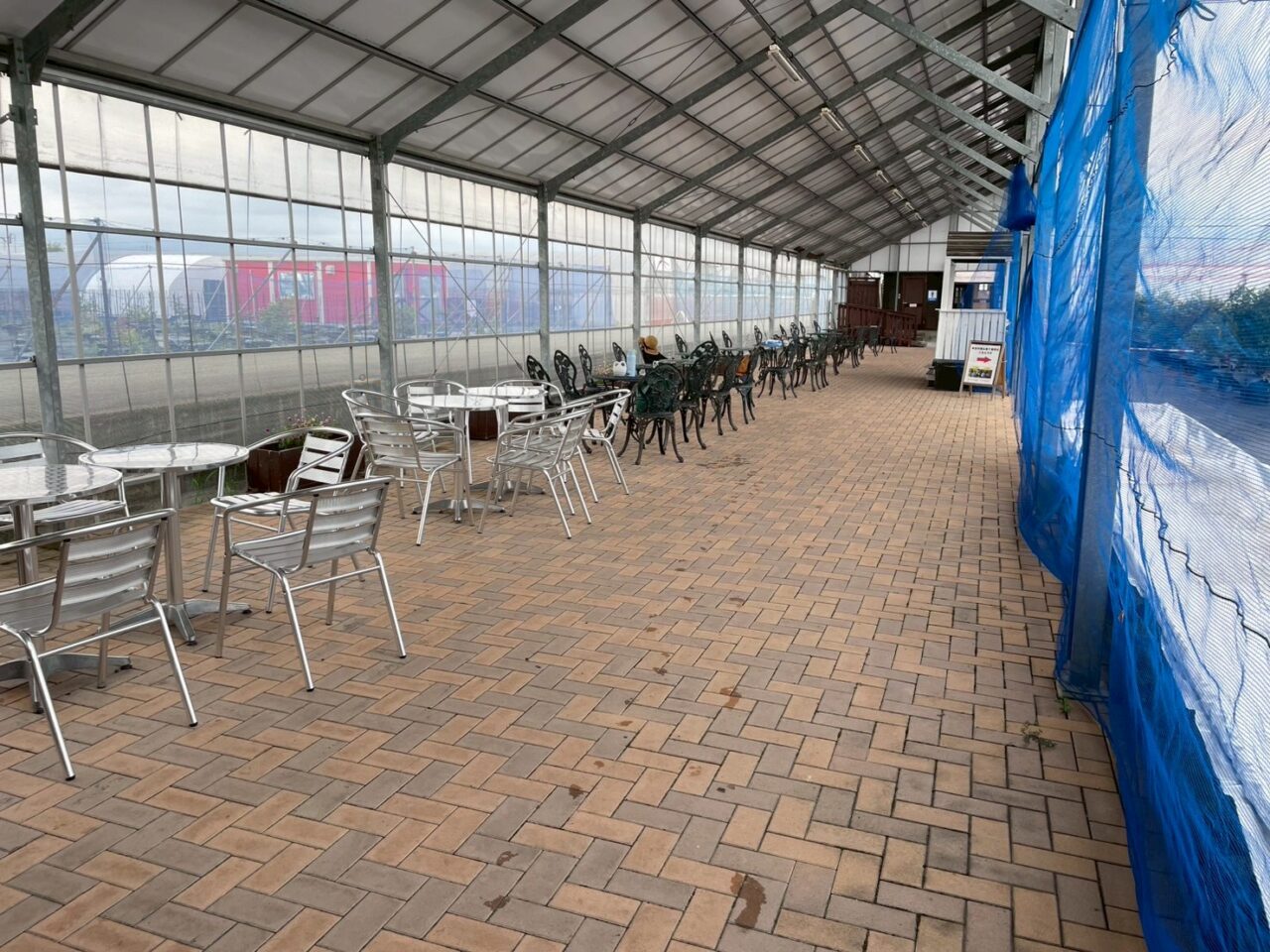 2025年観光農園 ブルーベリーの村