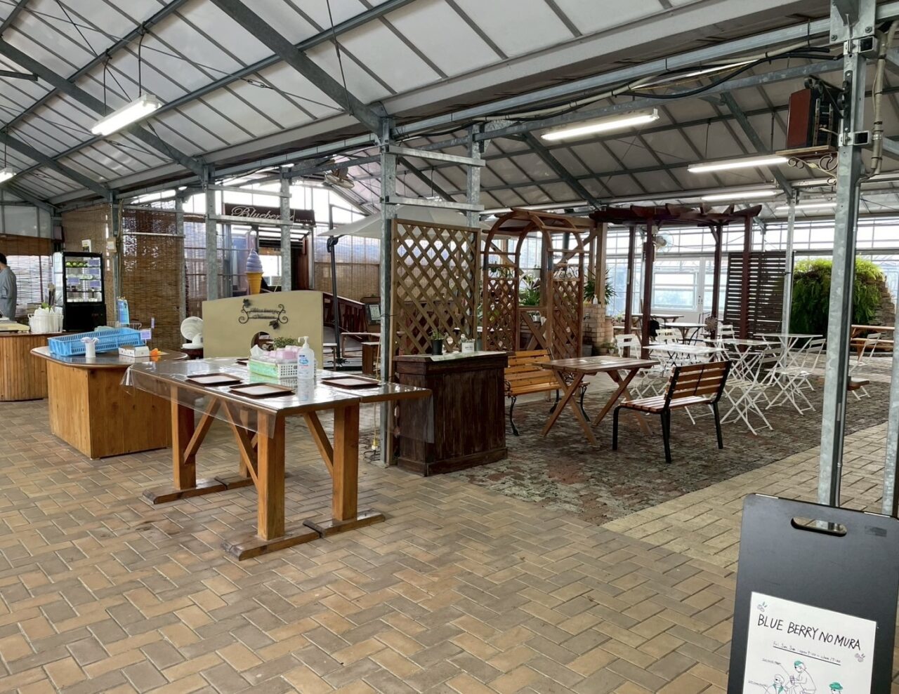 2025年観光農園 ブルーベリーの村
