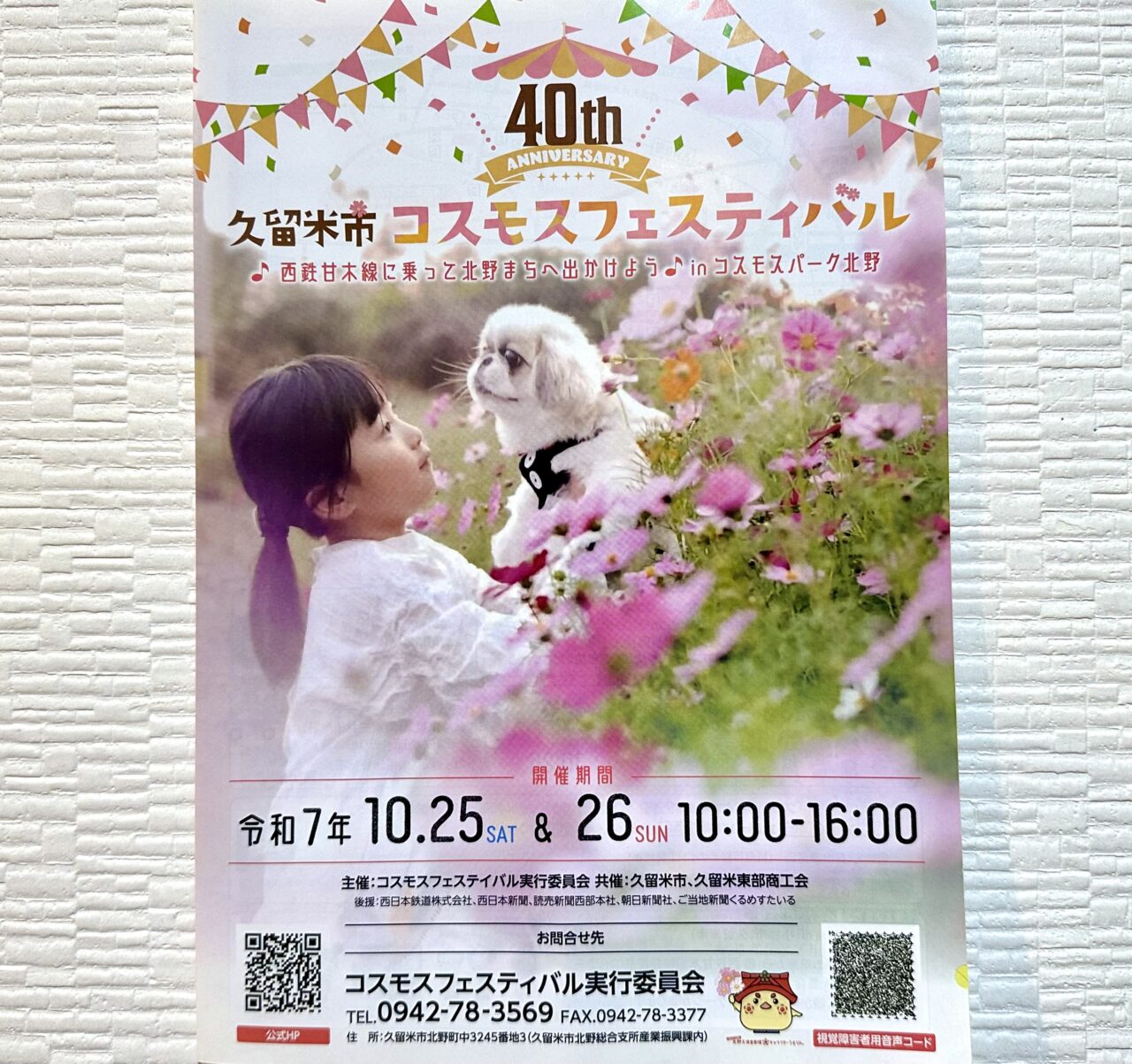 2025年第40回 久留米市コスモスフェスティバル