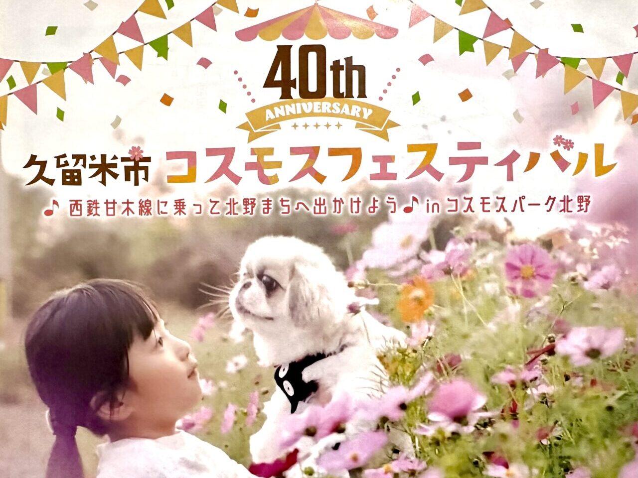 2025年第40回 久留米市コスモスフェスティバル