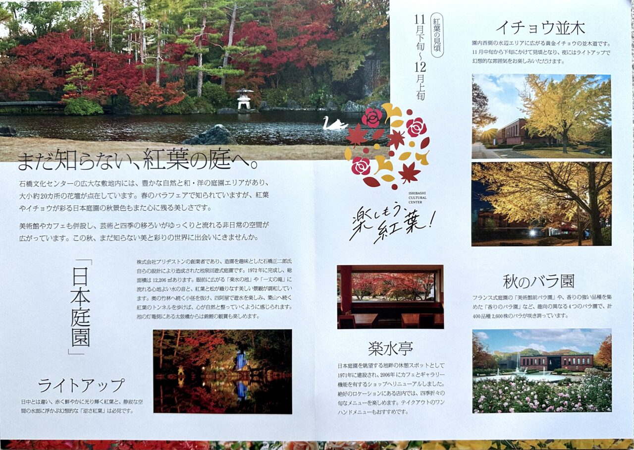 2025年石橋文化センターウインターイルミネーション「光のミュージアム」