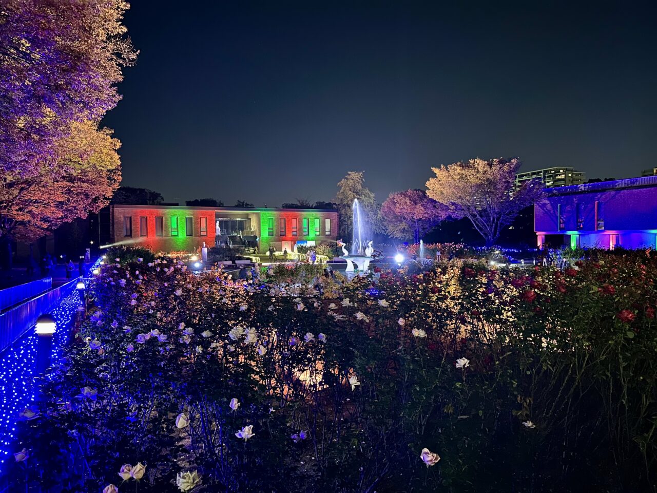 2025年石橋文化センターウインターイルミネーション「光のミュージアム」