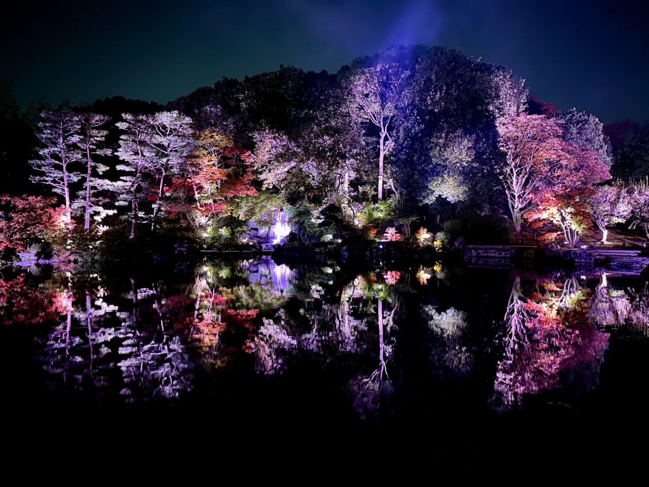 2025年石橋文化センターウインターイルミネーション「光のミュージアム」