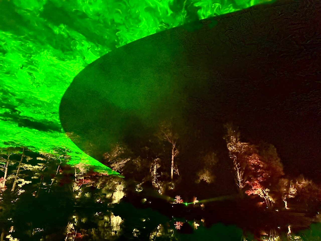 2025年石橋文化センターウインターイルミネーション「光のミュージアム」