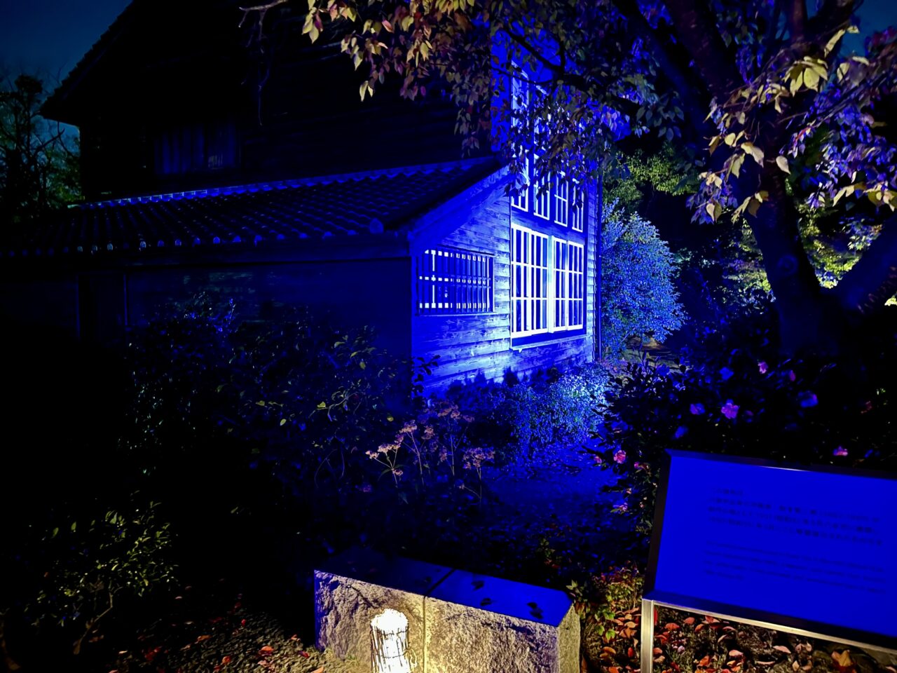 2025年石橋文化センターウインターイルミネーション「光のミュージアム」