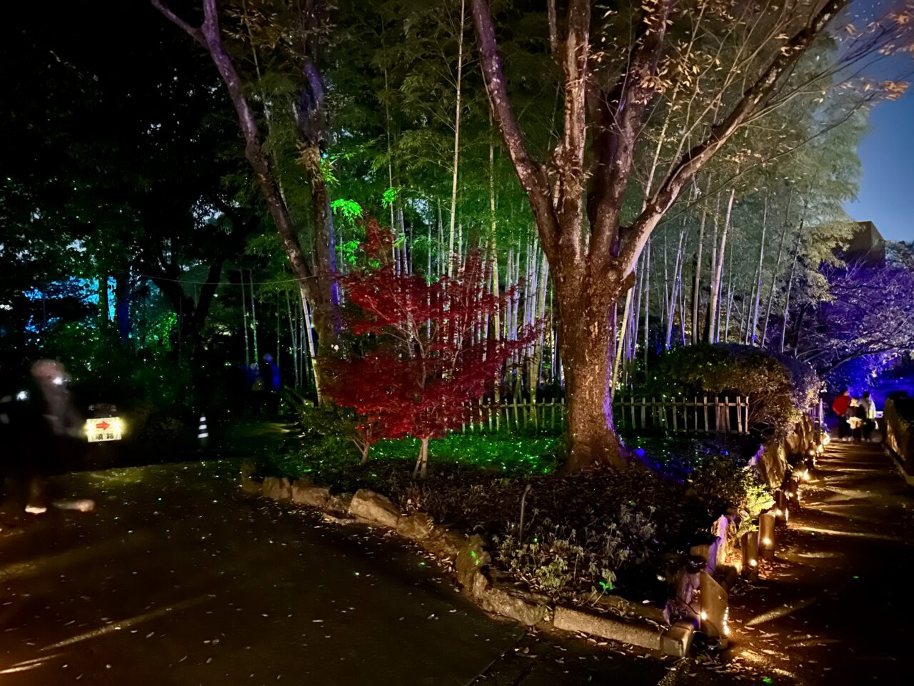 2025年石橋文化センターウインターイルミネーション「光のミュージアム」