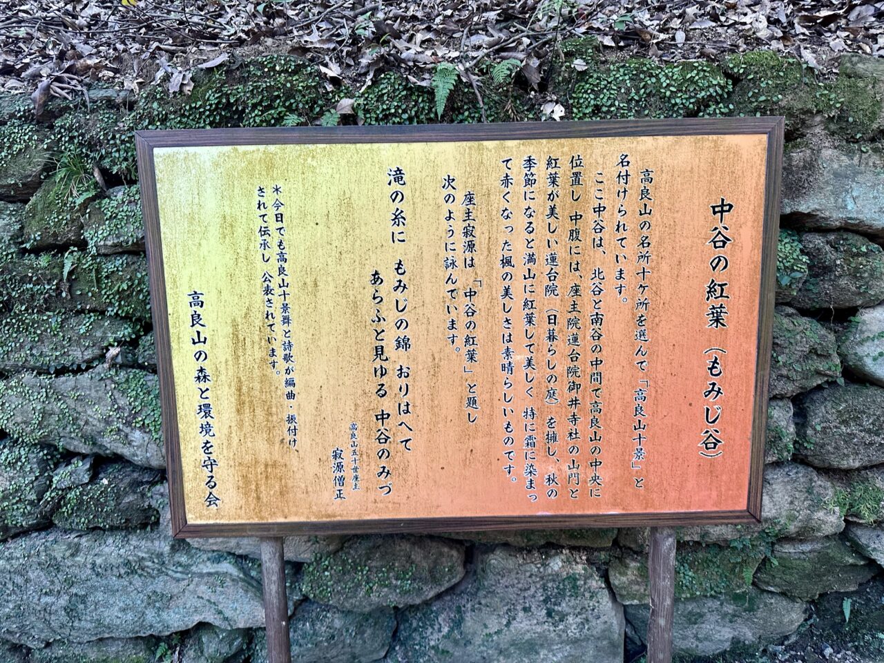 2025年高良山（高良大社）の紅葉情報