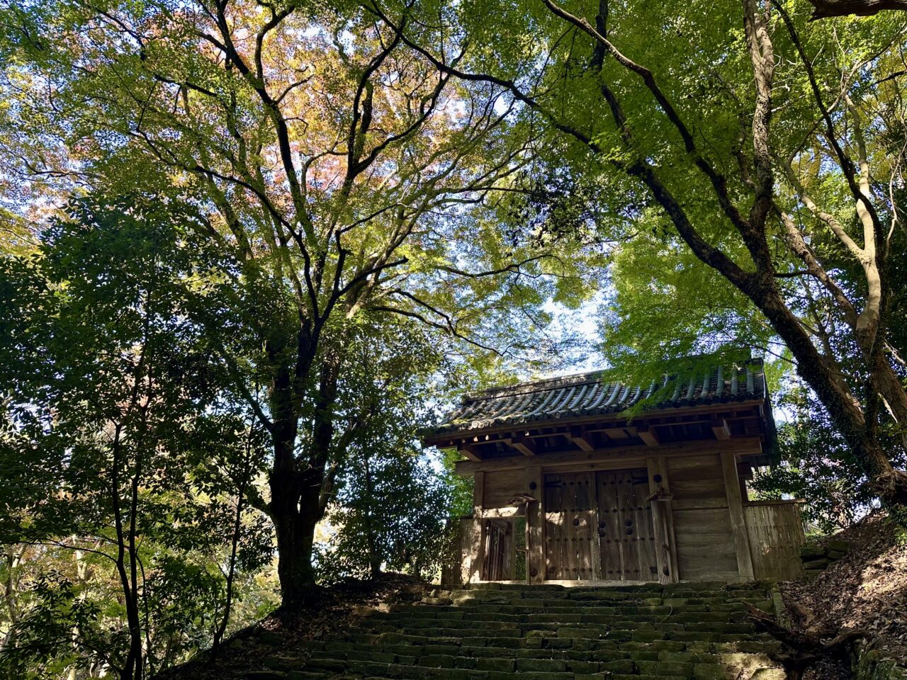 2025年高良山（高良大社）の紅葉情報