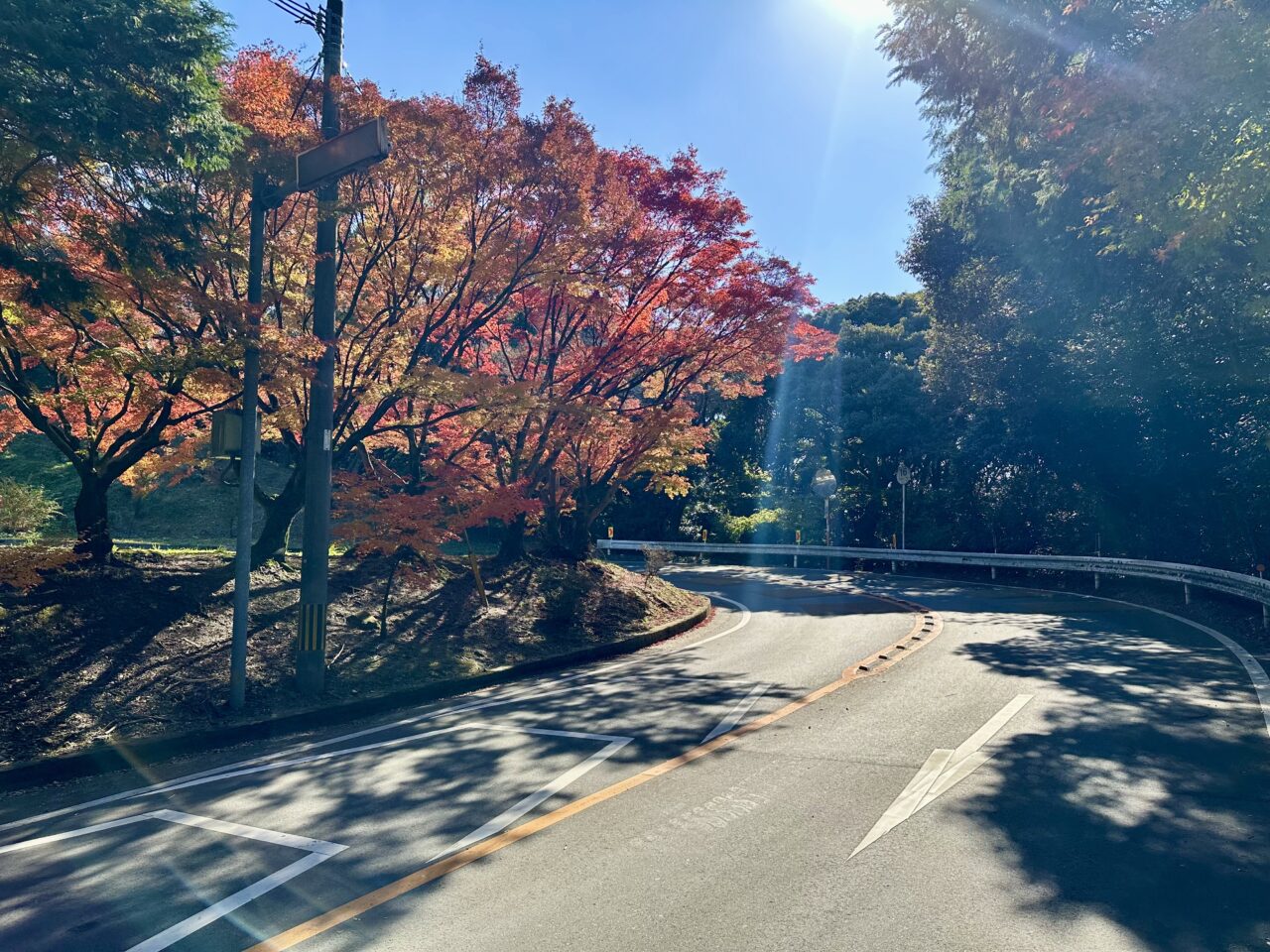 2025年高良山（高良大社）の紅葉情報