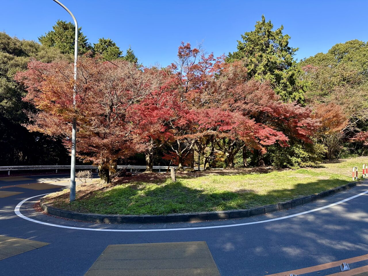 2025年高良山（高良大社）の紅葉情報