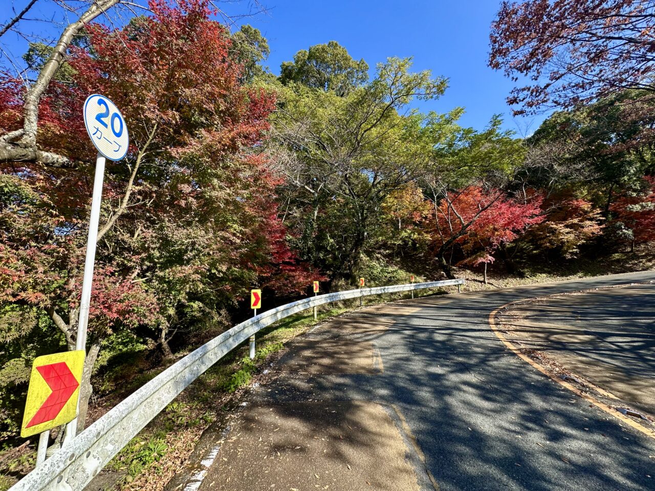 2025年高良山（高良大社）の紅葉情報