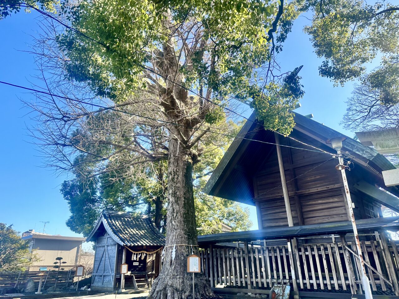 2025年伊勢天照御祖神社（大石神社）