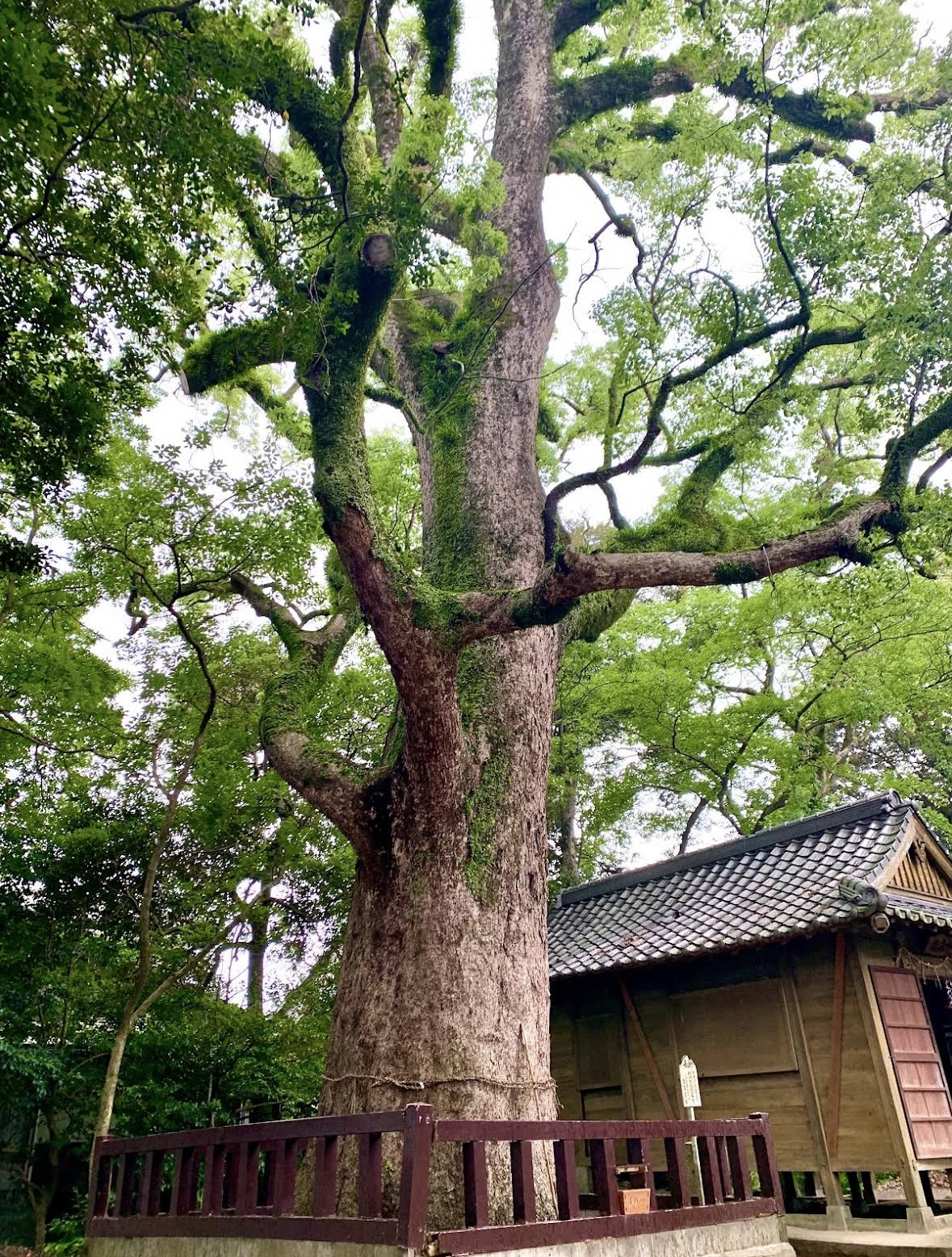 2026年御勢大霊石神社（みせたいれいせきじんじゃ）