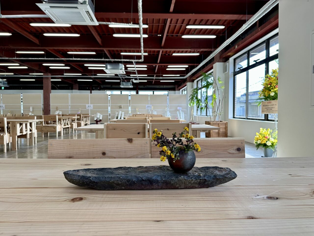 2026年ムーンスター直営店「PLATO MOONSTAR」