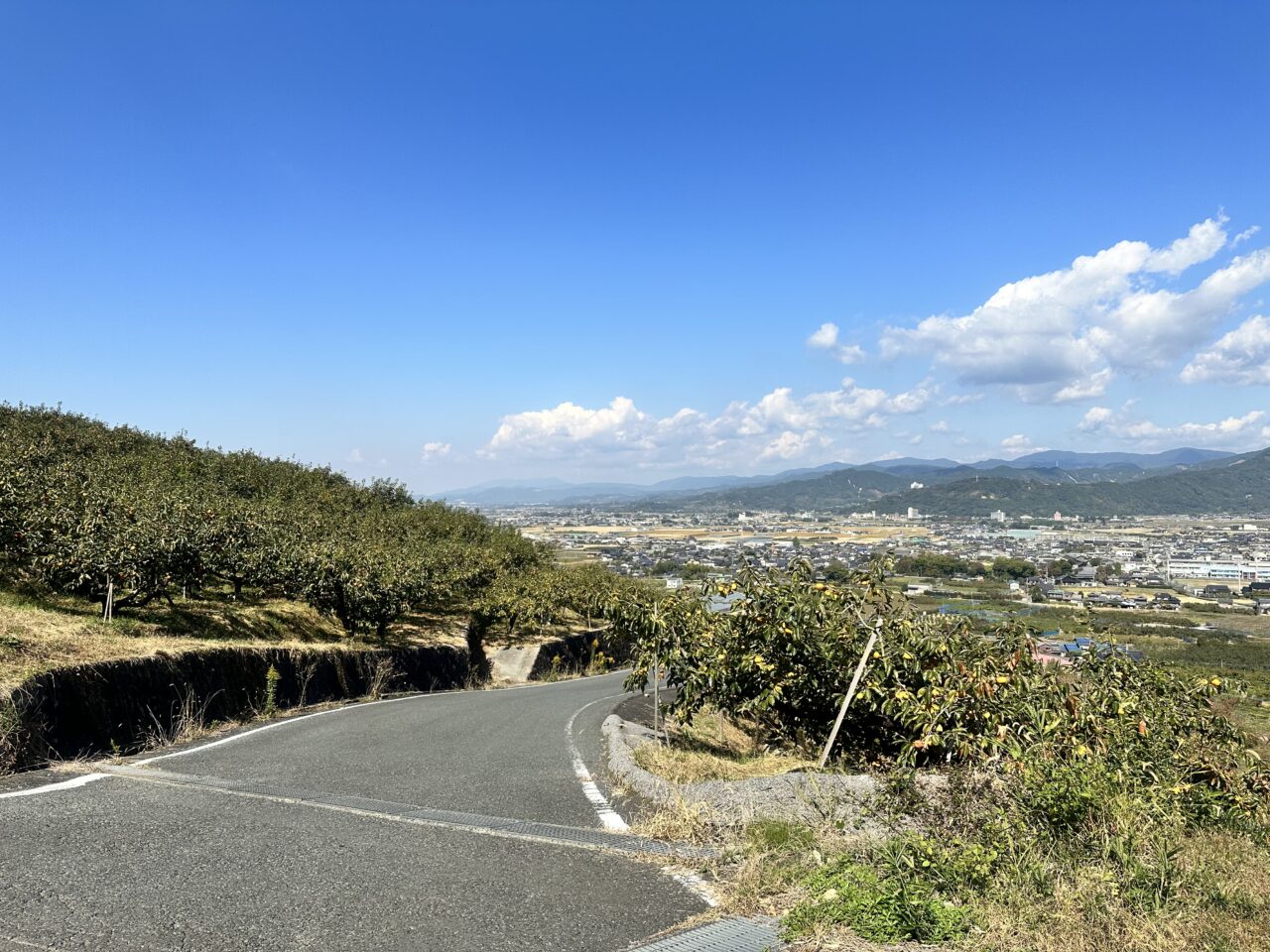 2026年浮羽稲荷神社