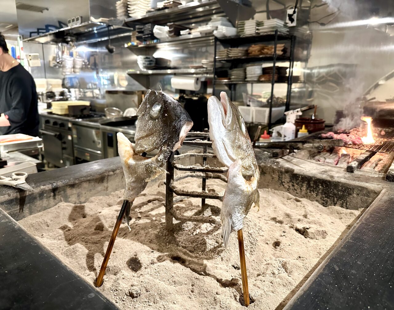 2026年魚と串 つぼみ