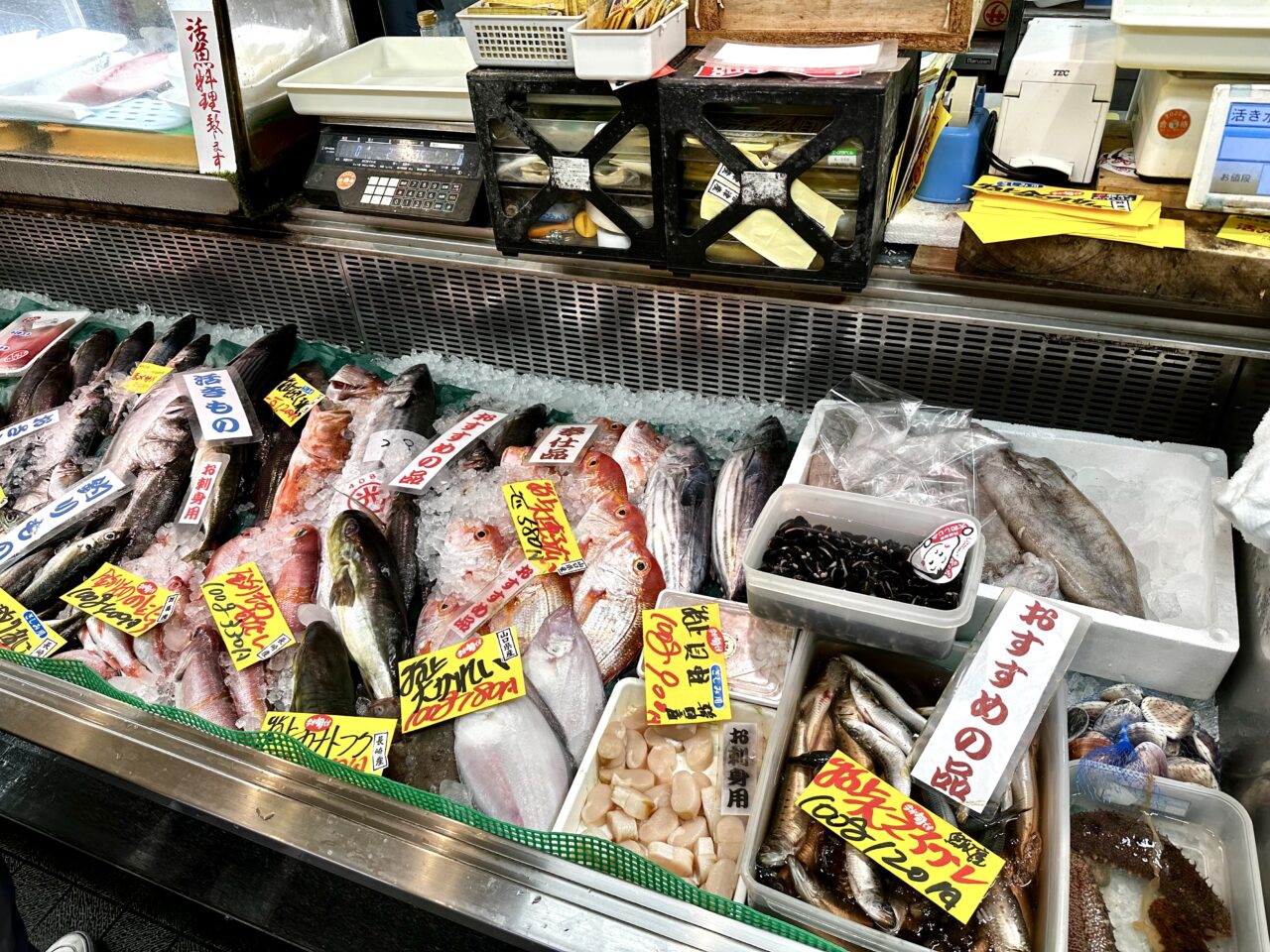 2026年永松ストアー