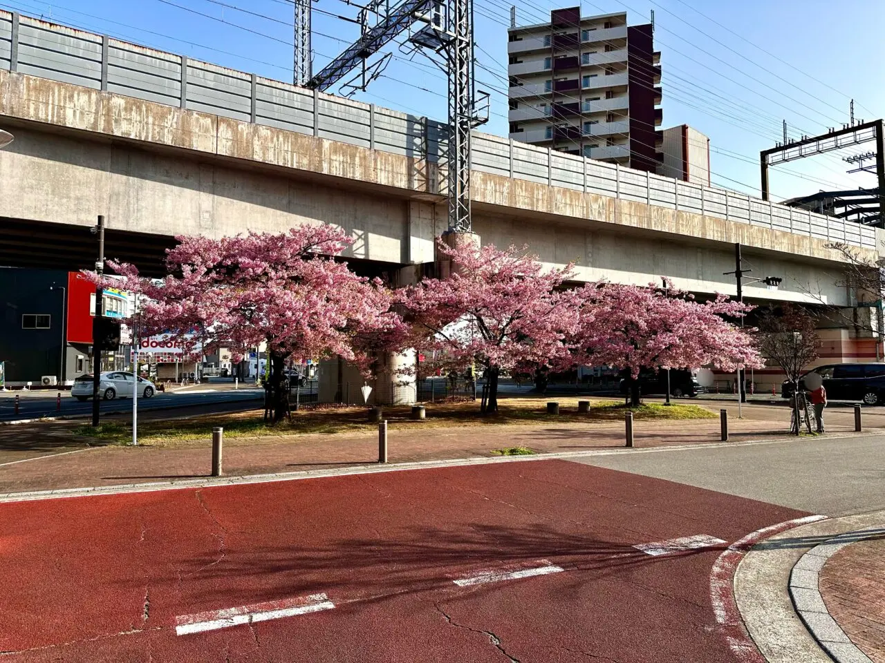 2026年花畑駅の河津桜