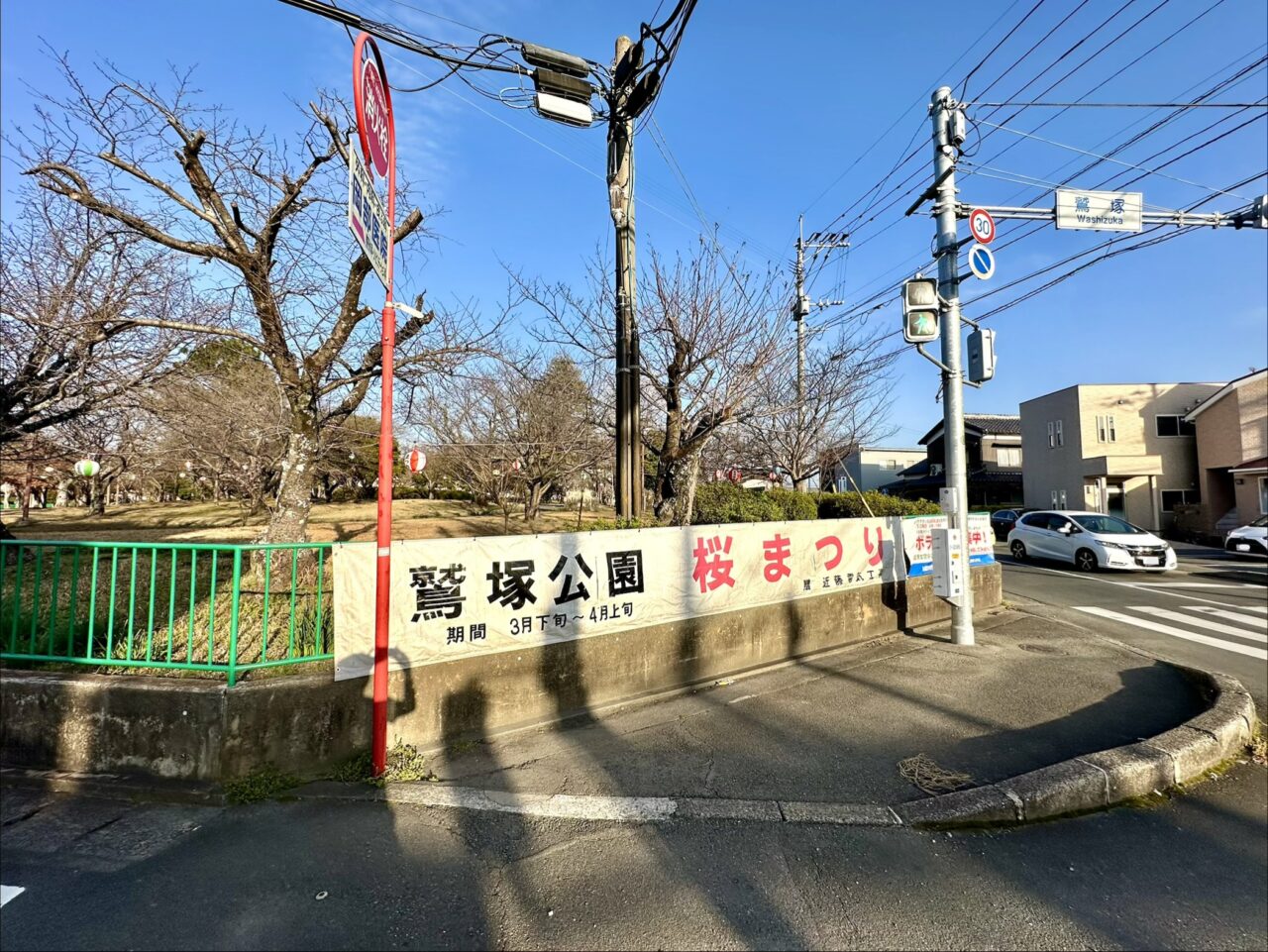 2026年鷲塚公園の陽光桜(ヨウコウザクラ)