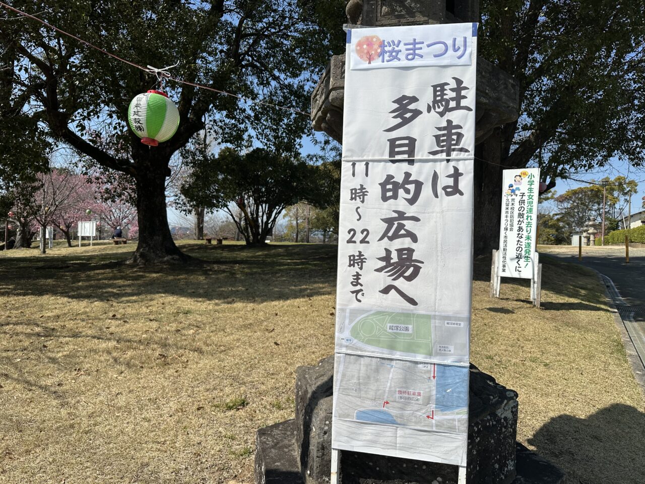 2026年鷲塚公園の陽光桜(ヨウコウザクラ)