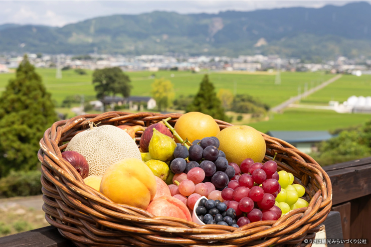 2026年特急「かんぱち・いちろく」運行開始