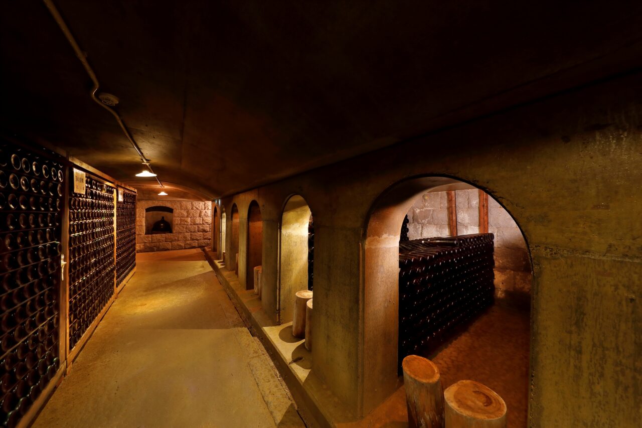 2026年KYOHO JAPAN株式会社