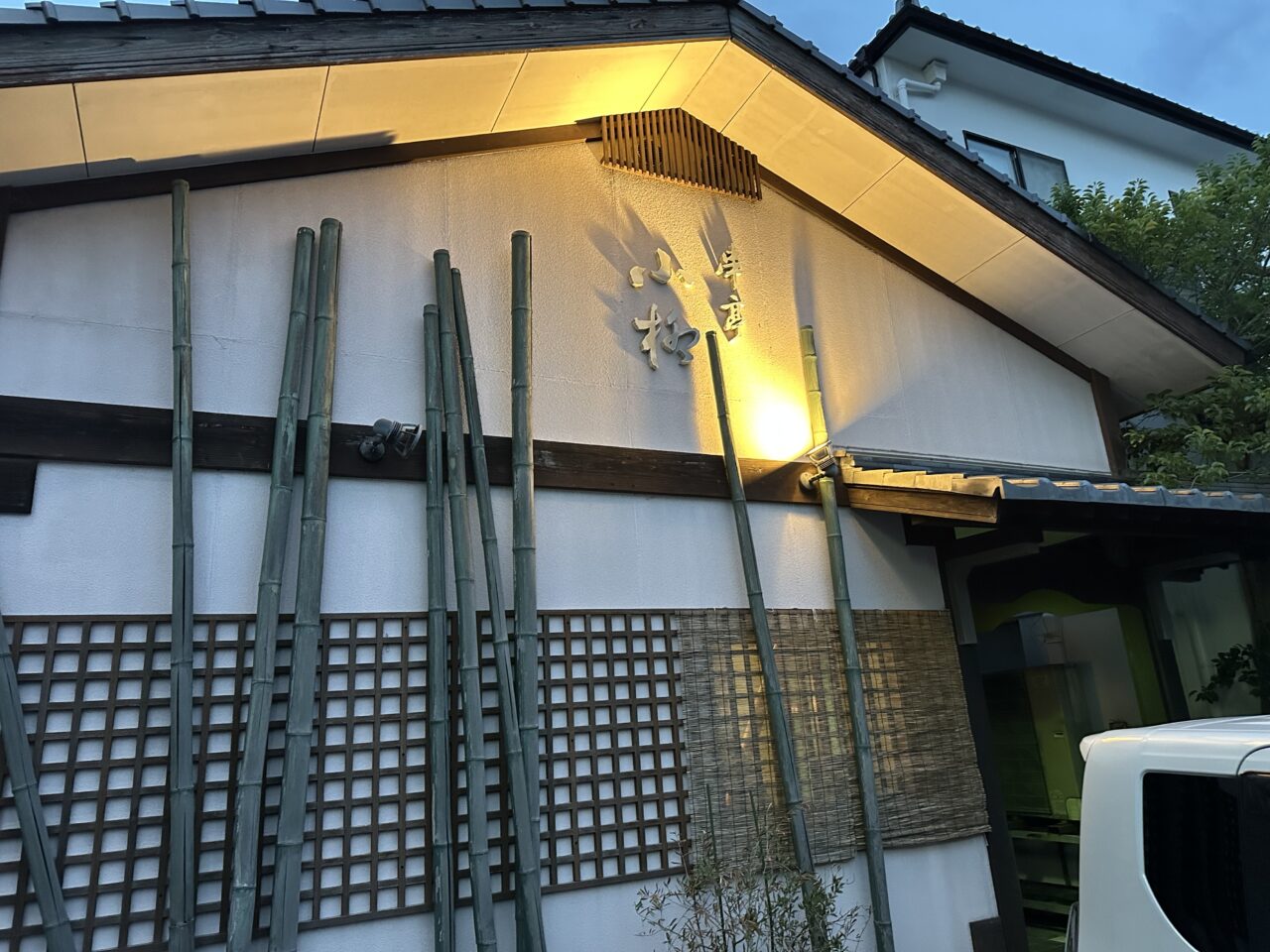 2026年串亭小柳