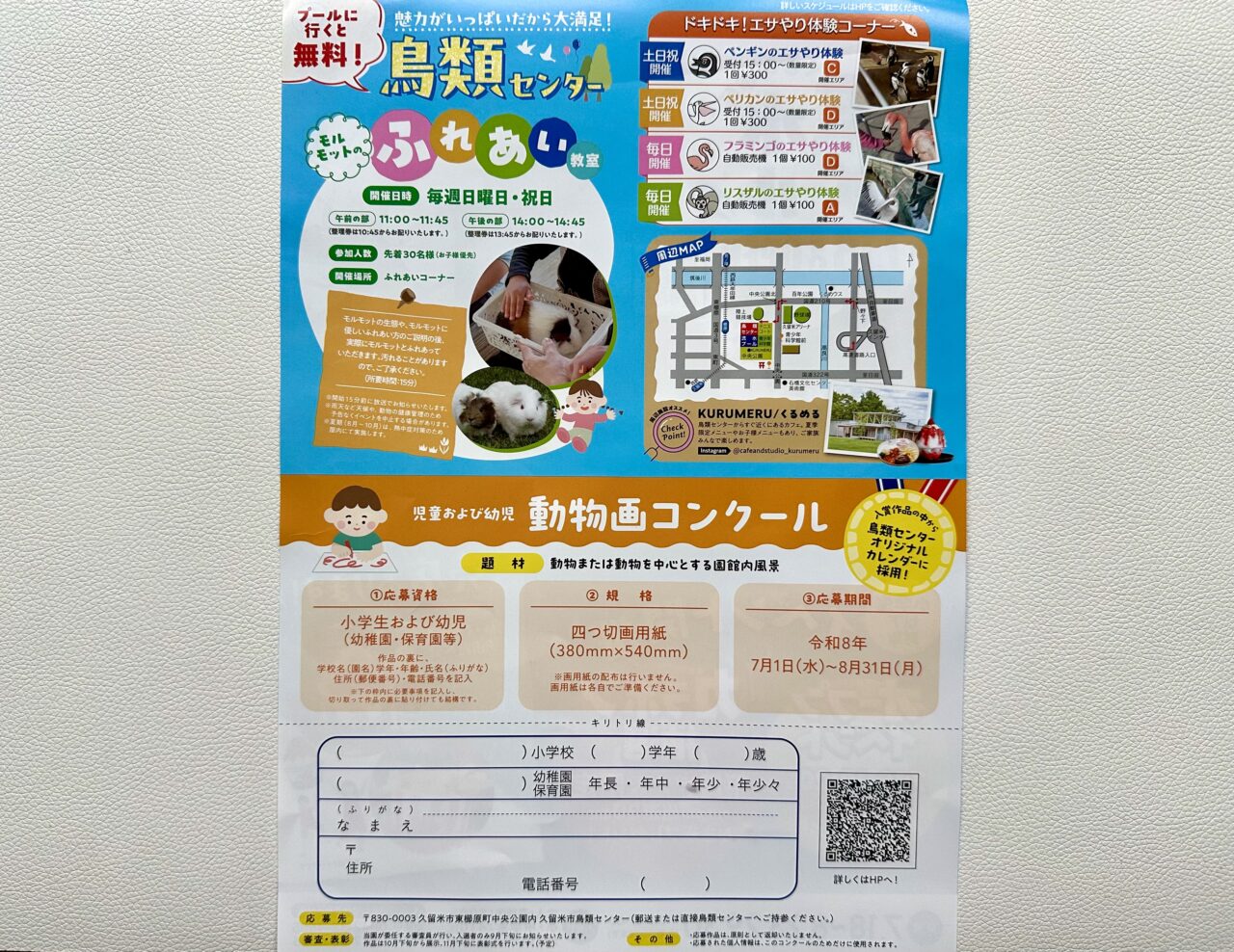 2026年くるめ市民流水プールオープン