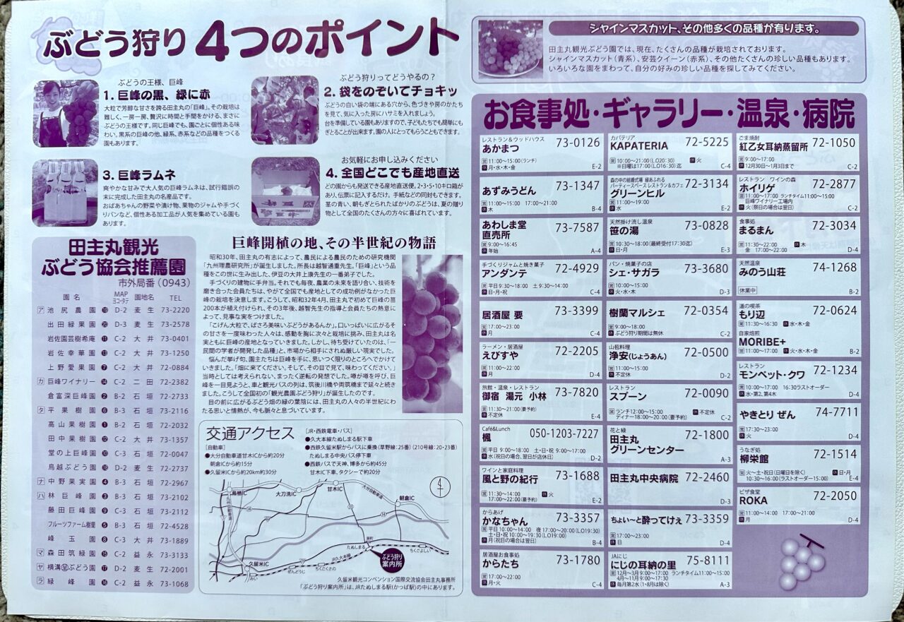 2026年「田主丸ぶどう狩り」