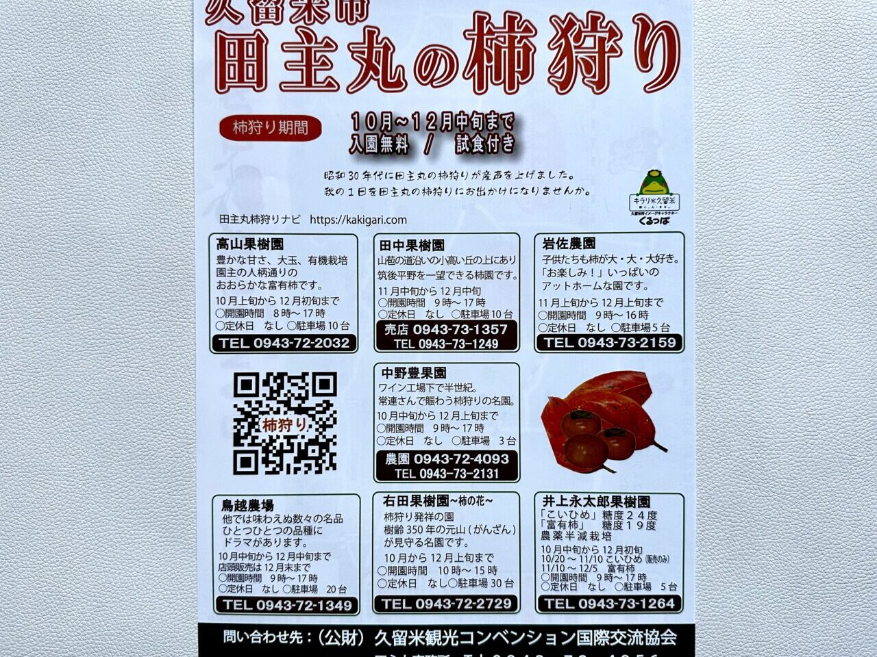 2026年久留米市田主丸の柿狩り