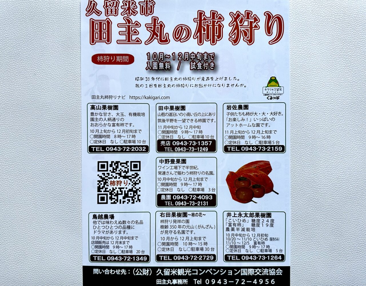 2026年久留米市田主丸の柿狩り