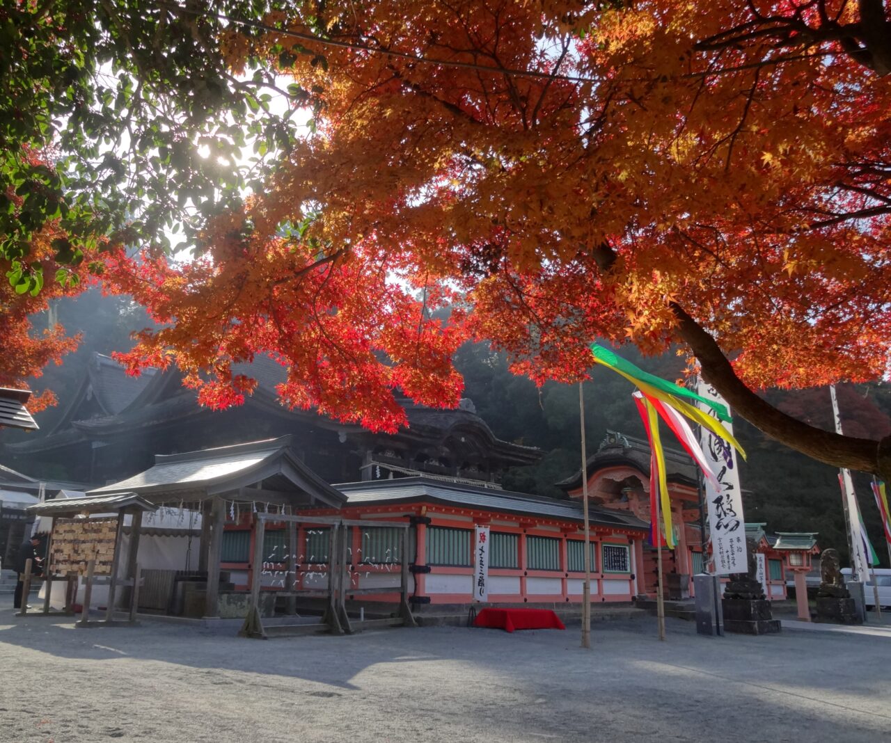 2026年高良山もみじ狩りオルレ
